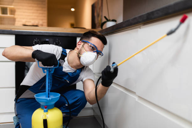 Best Mosquito Control Services  in Splendora, TX