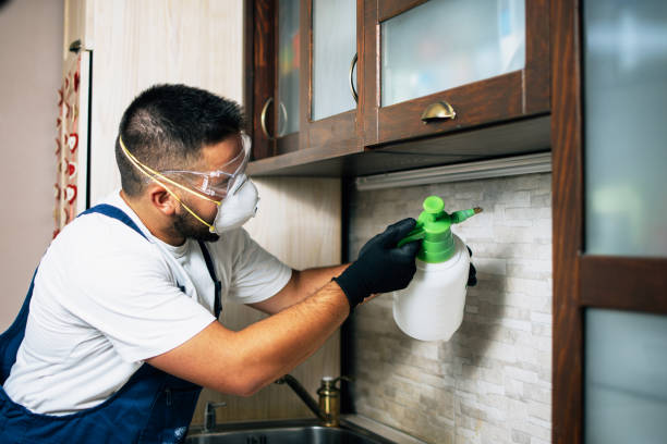 Best Termite Control Services  in Splendora, TX