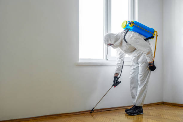 Best Best Pest Control Companies  in Splendora, TX