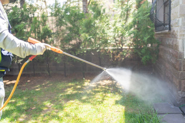 Best Pest Inspection Near Me  in Splendora, TX