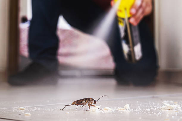 Best Best Pest Control Companies  in Splendora, TX